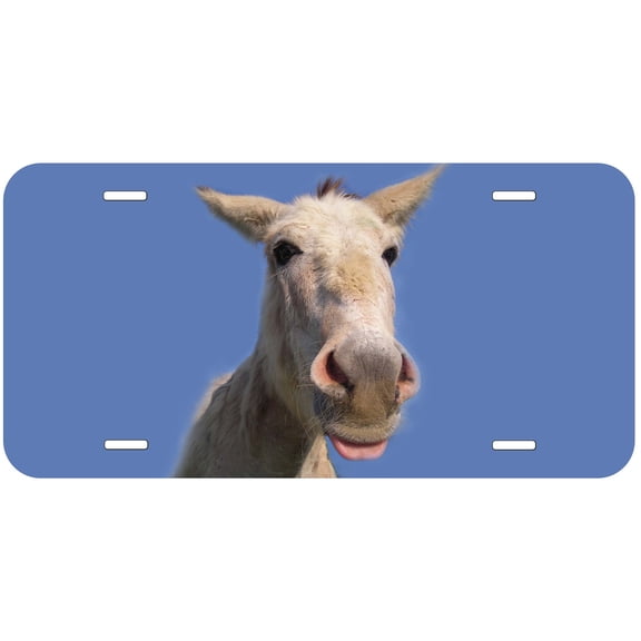 Donkey TAG07 Novelty Car Auto License Plate