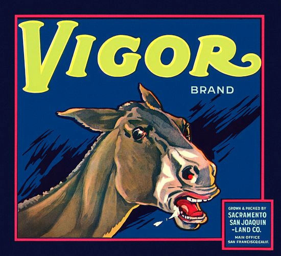 Donkey Vigor Brand label Canvas Art - (36 x 54)