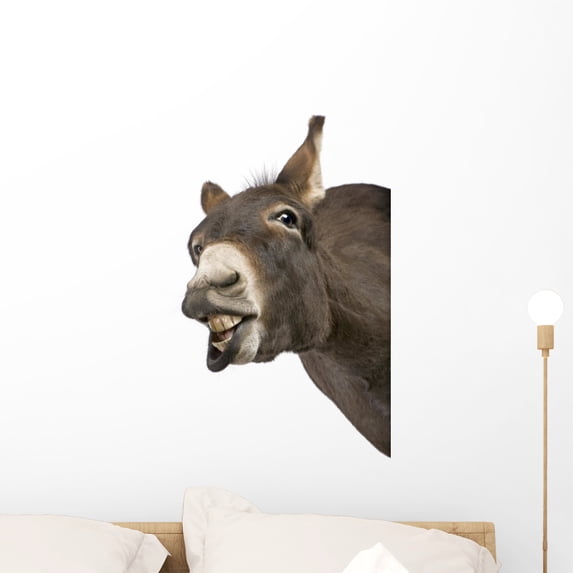 Donkey Wall Mural by Wallmonkeys Peel and Stick Graphic (24 in H x 15 in W) WM64263