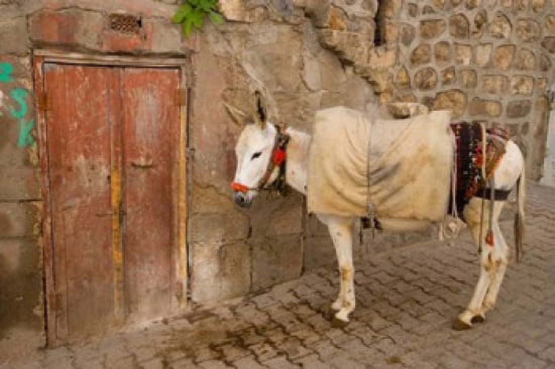 Donkey and Cobbled Streets Mardin Turkey Canvas Art - Darrell Gulin DanitaDelimont (26 x 17)