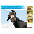 thumbnail image 1 of Donkey joie de vivre - fun with long ears (Monthly Wall Calendar 2026 16.5 x 23.4 (open)), CALVENDO 14 Month Calendar, 1 of 9