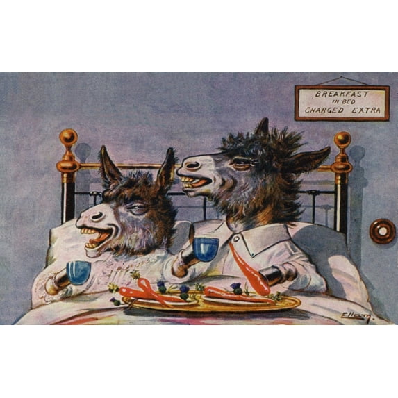 Donkeys Breakfast In Bed Poster Print By Mary Evans Picture Librarypeter & Dawn Cope Collection
