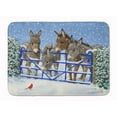 thumbnail image 1 of Donkeys and Cardinal Machine Washable Memory Foam Mat, 1 of 4