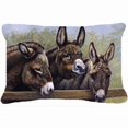 thumbnail image 1 of Donkeys by Daphne Baxter Fabric Decorative Pillow, 1 of 1