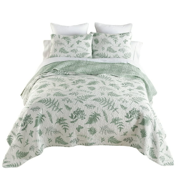 Donna Sharp Botanical 3 PC Cotton Queen Quilt Set