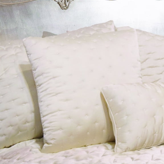 Donna Sharp Moonbeam Embroidered Quilted Eurosham