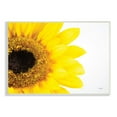 thumbnail image 1 of Stupell Industries Detail of Sunflower Disk And Petals Photograph,19 x 13, Design by Donnie Quillen, 1 of 5