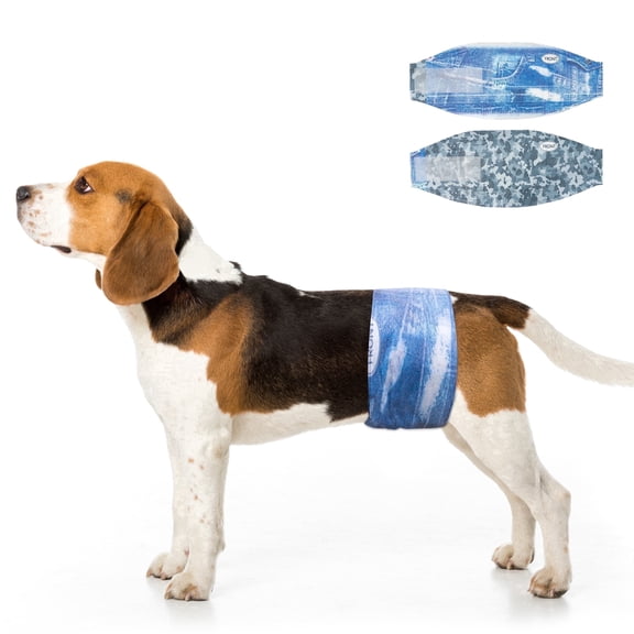 Dono Wider Disposable Male Dog Wraps, Super-Absorbent, Leak Proof Fit Small 48 Count