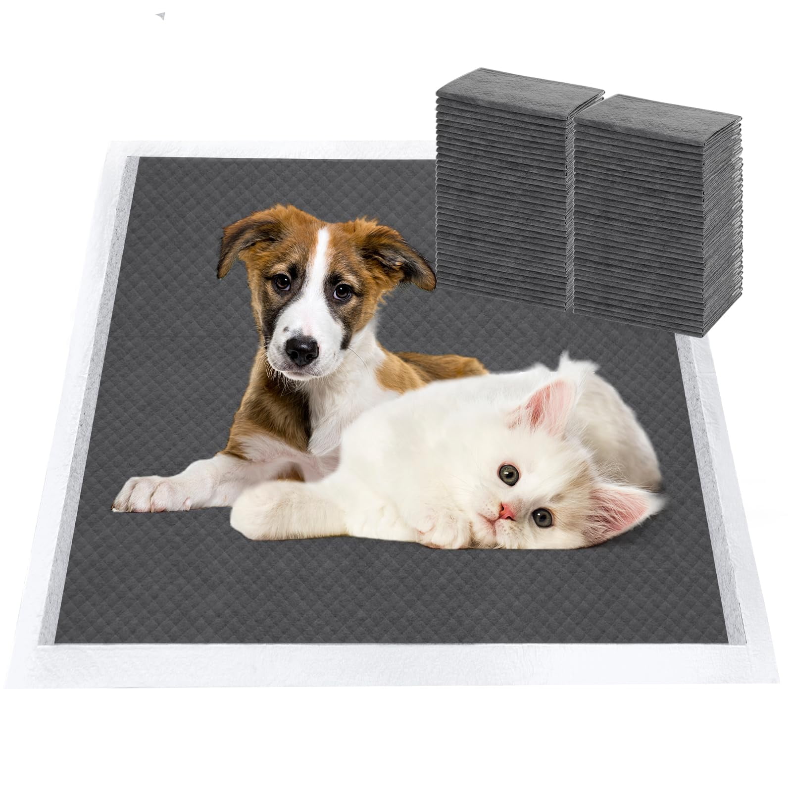 Pee Pads Attractant