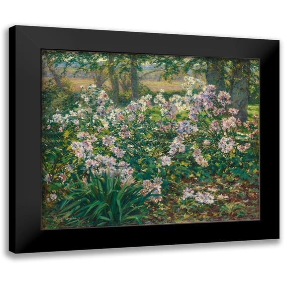Donoho, Ruger 13x12 Black Modern Framed Museum Art Print Titled - Windflowers