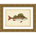 thumbnail image 1 of Donovan 14x11 Gold Ornate Wood Framed with Double Matting Museum Art Print Titled - Donovan Antique Fish I, 1 of 4