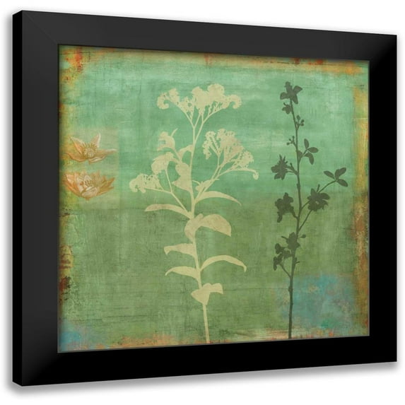 Donovan, Chris 12x12 Black Modern Framed Museum Art Print Titled - Eco-friendly II