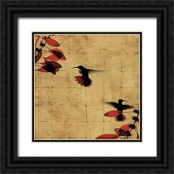 Donovan, Chris 12x12 Black Ornate Wood Framed with Double Matting Museum Art Print Titled - Colibri I