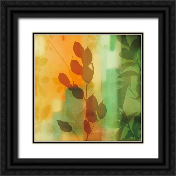 Donovan, Chris 20x20 Black Ornate Wood Framed with Double Matting Museum Art Print Titled - Natures Glow II