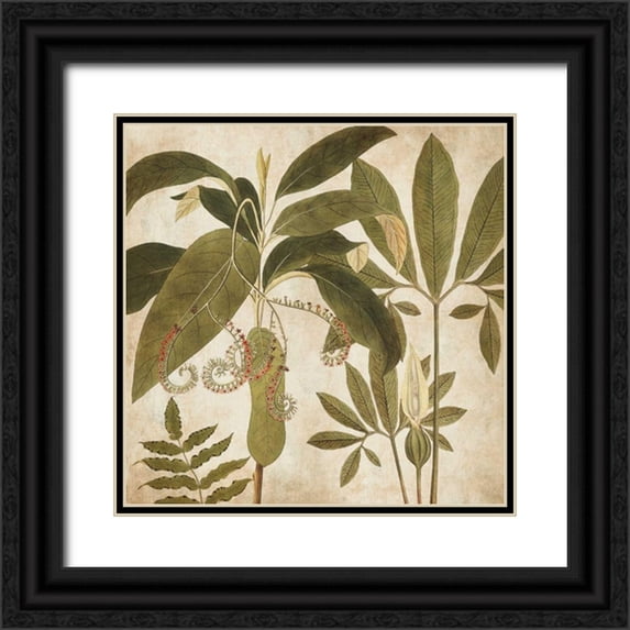 Donovan, Chris 20x20 Black Ornate Wood Framed with Double Matting Museum Art Print Titled - Palm Persuasion I