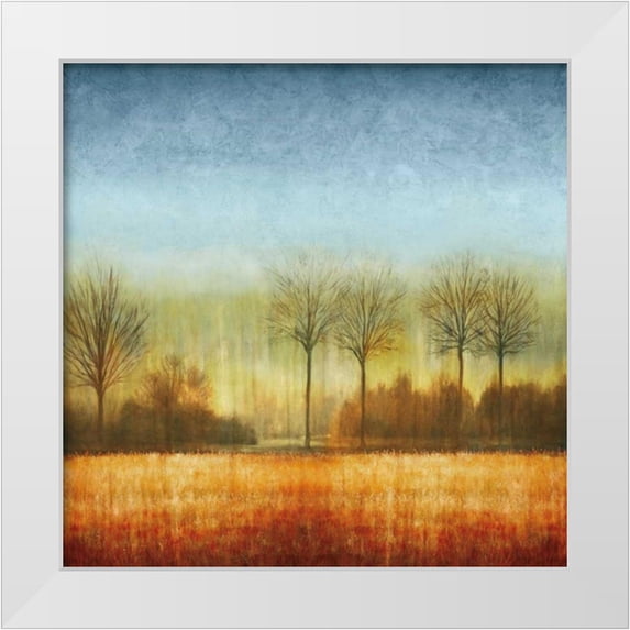 Donovan, Chris 20x20 White Modern Wood Framed Museum Art Print Titled - The Crossing I