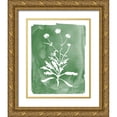 thumbnail image 1 of Donovan, Kelly 12x14 Gold Ornate Wood Framed with Double Matting Museum Art Print Titled - Green Botanical I, 1 of 4