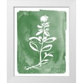 thumbnail image 1 of Donovan, Kelly 12x14 White Modern Wood Framed Museum Art Print Titled - Green Botanical III, 1 of 4