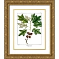 thumbnail image 1 of Donovan, Kelly 15x18 Gold Ornate Wood Framed with Double Matting Museum Art Print Titled - Bears Oak, 1 of 4