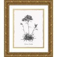 thumbnail image 1 of Donovan, Kelly 15x18 Gold Ornate Wood Framed with Double Matting Museum Art Print Titled - Simply Caladrinia, 1 of 4
