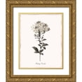 thumbnail image 1 of Donovan, Kelly 15x18 Gold Ornate Wood Framed with Double Matting Museum Art Print Titled - Sketchbook Leadwort, 1 of 4