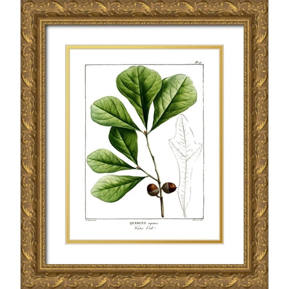 Donovan, Kelly 15x18 Gold Ornate Wood Framed with Double Matting Museum Art Print Titled - White Oak