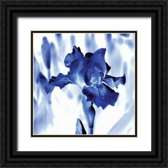 Donovan, Kelly 26x26 Black Ornate Wood Framed with Double Matting Museum Art Print Titled - Blue Ice Iris