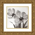 thumbnail image 1 of Donovan, Kelly 26x26 Gold Ornate Wood Framed with Double Matting Museum Art Print Titled - Tulip Dream, 1 of 4