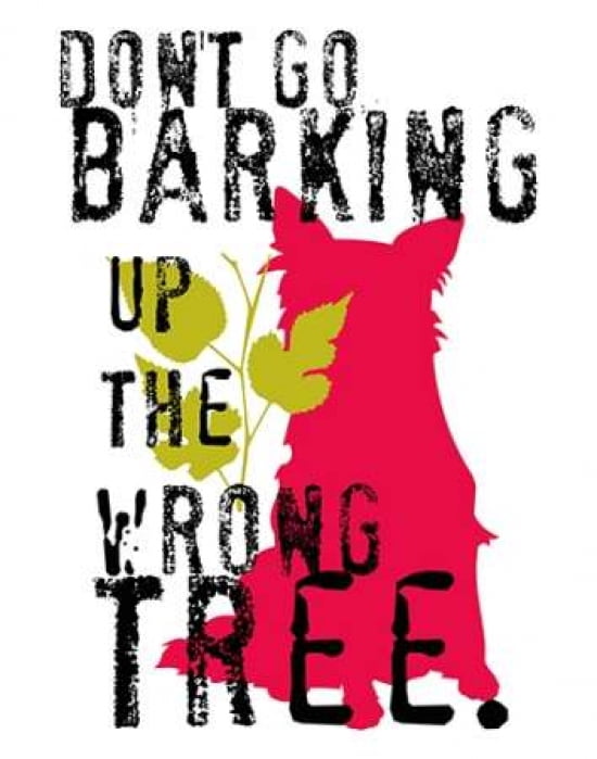 Dont Go Barking Canvas Art - Ginger Oliphant (22 x 28)