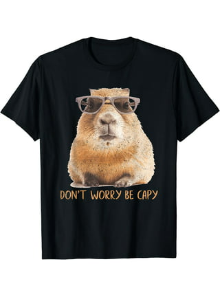 YARN, Hi, my name is Claira the capybara