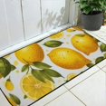 Doodle Lemon Front Door Mat NonSlip Indoor Entrance Doormat Washable