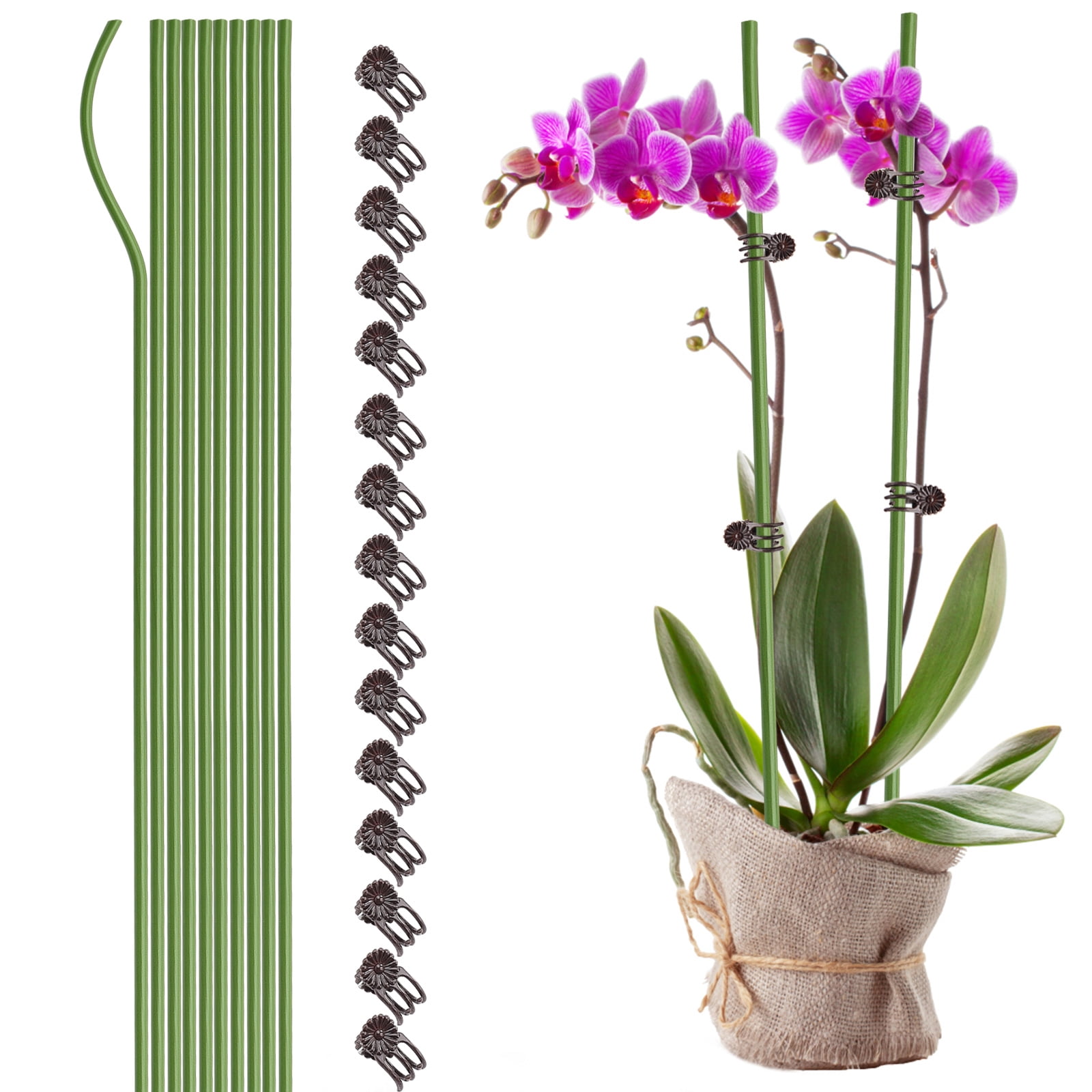 Liyoe 10-Piece Plant Support Stakes & Clips – 50cm Bendable Metal Stakes For Indoor/Outdoor Plants