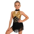 thumbnail image 1 of Doomiva Girls Sparkly Latin Dance Dress Sequin Sleeveless Fringe Tassel Color Block Cha Cha Jazz Dance Dress for Performance Gold 6, 1 of 7