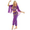 thumbnail image 1 of Doomiva Women Indian Dance Costume 4Pcs Belly Dance Outfits Halloween Carnival Performance Sets Purple One Size, 1 of 7