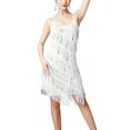 thumbnail image 1 of Doomiva Women's Sequins Tassel Dance 1920s Flapper Cocktail Party Dress Latin Ballroom Dance Dress Silver XXL, 1 of 6