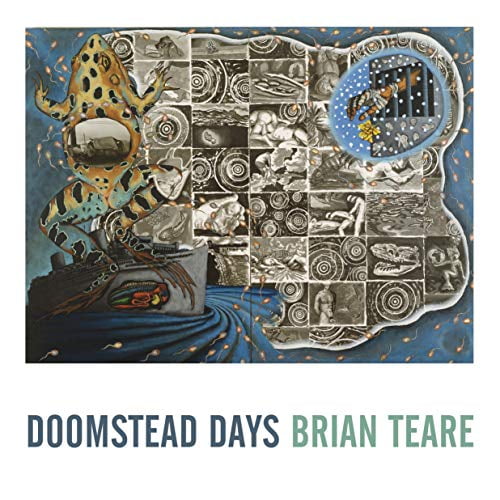 Pre-Owned Doomstead Days (Paperback) 1643620029 9781643620022