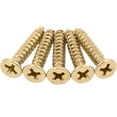 thumbnail image 1 of Door Hinge Screws, #9 x 1", 800-Pack, Polished Brass by Stone Harbor Hardware, 1 of 1
