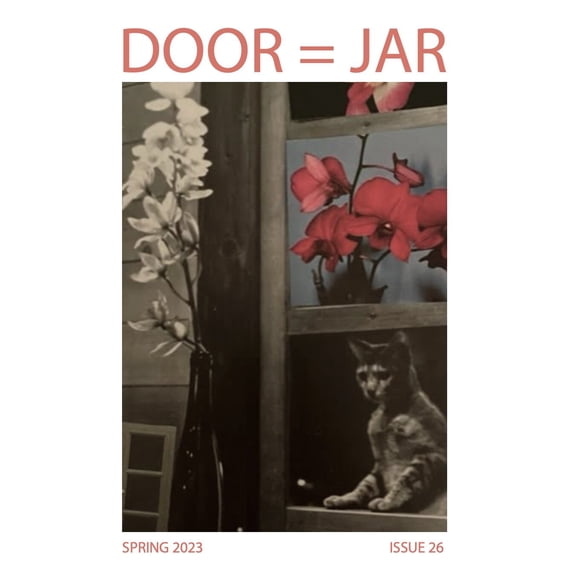 Door Is A Jar Literary Magazine Issue 26 Spring 2023