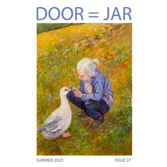 Door Is A Jar Literary Magazine Issue 27 Summer 2023