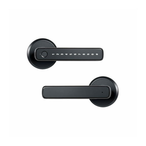 Door Knob Fingerprint Lock with Handle Passcode Biometric Keyless Entry ...