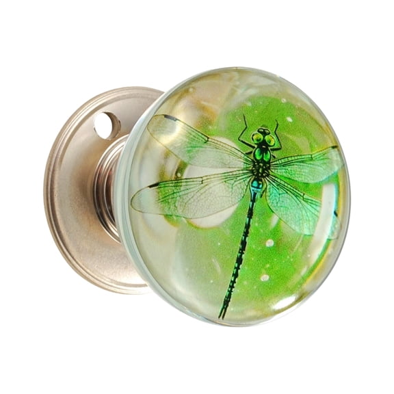 Door Knob Resin Scratch Resistant Proof Modern Home Upgrades