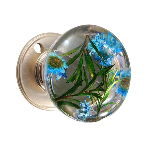 Door Knob Resin Scratch Resistant Proof Modern Home Upgrades