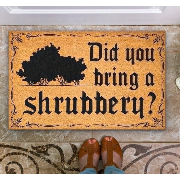 Door Mat Did You Bring A Shy Welcome Non Slip Mats Funny Doormat Decor for Bathroom Kitchen Front Porch Rugs Home Decor Entrance 17x30 Inch.