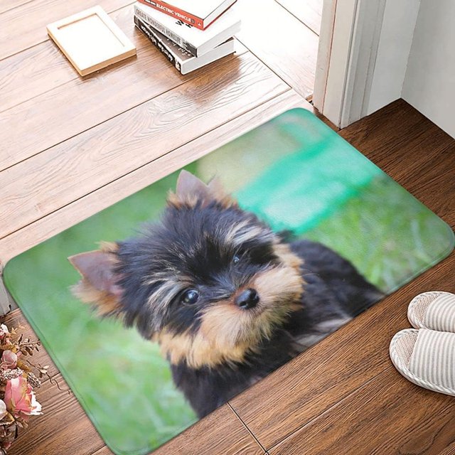 Door Mat Indoor Entrance Dog Yorkshire Terrier Doormat Bathroom Printed