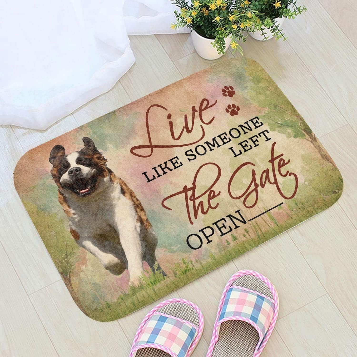 Door Mat Indoor Front Live Like Someone Left The Gate Open St. Bernard