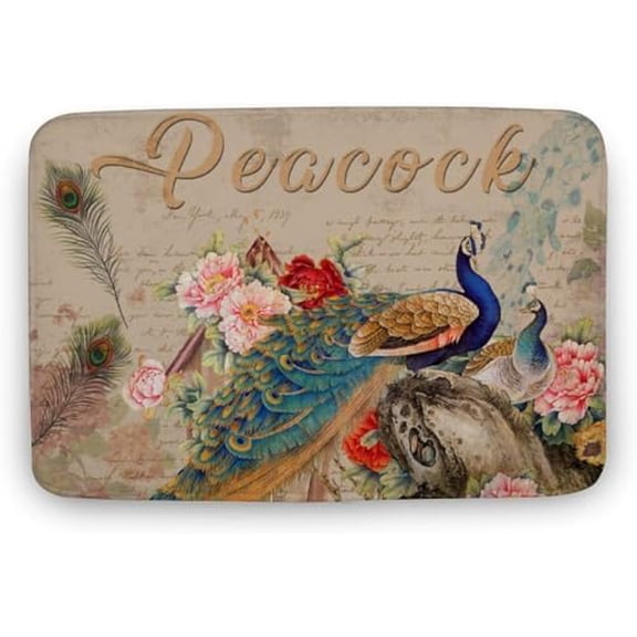 Door Rugs Indoor Machine Washable Door Mat Vintage Peacock House Bedroom Carpet Rug Under Queen Bed Coral Velvet for Entrance Doormat 17x30 Inch.