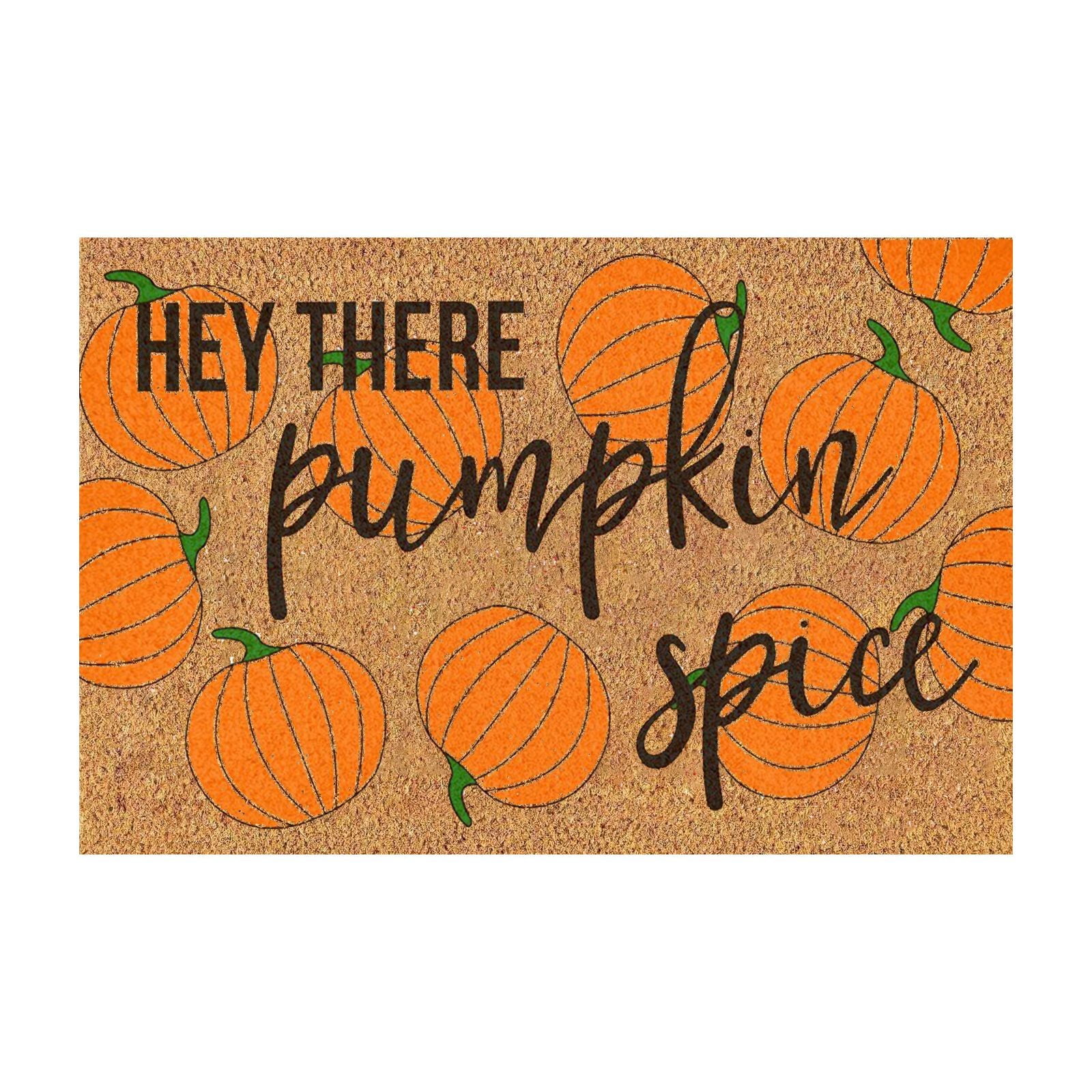 Door Fun Shape Carpet Water Absorbent Wear Carpet Indoor And