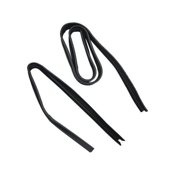 Door Window Glass Run Channel - Compatible with 1995 - 1997 Dodge B1500 1996