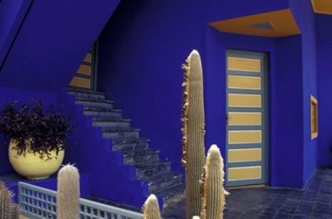 Door and Plants in Jardin Majorelle Marrakech Morocco Canvas Art - Darrell Gulin DanitaDelimont (18 x 12)