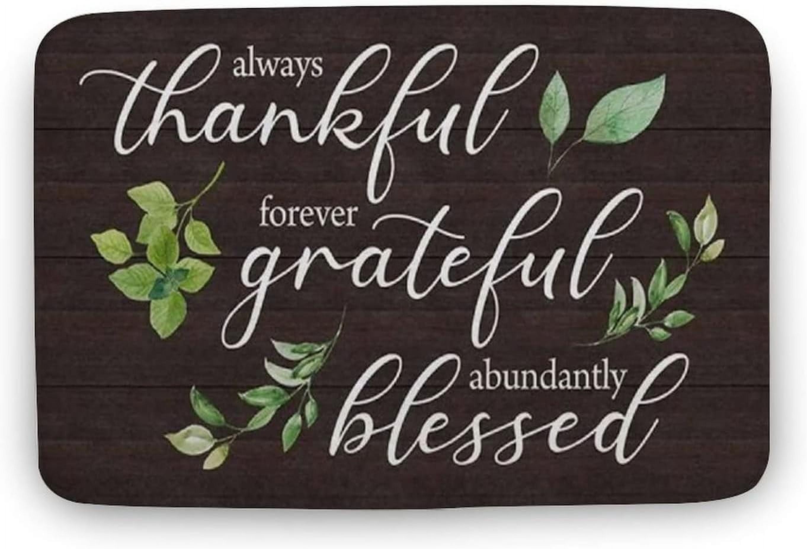 Doormat 16x24 Inch Floor Rugs New Thankful Grateful Blessed Door Mat ...